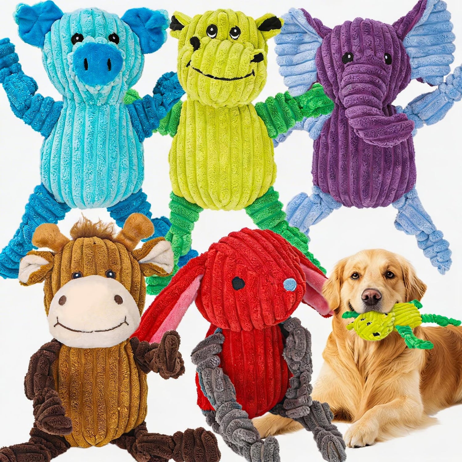 Kids Collection